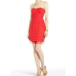 BCBG Roselle Fitted Strapless Lace Dress